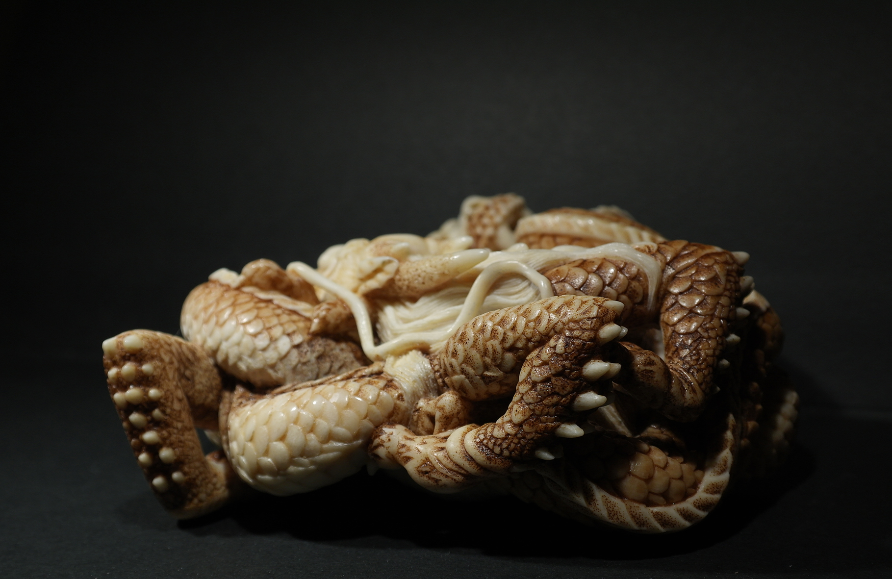 Two intertwined dragons09